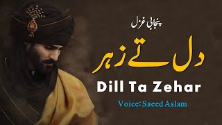 Punjabi Poetry Dill Tay Zehar By Saeed Aslam | Punjabi Shayari Whatsapp Status 2020 TikTok videos