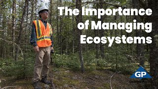 Managing Ecosystems for the Long Term | Georgia-Pacific