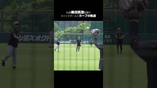 【巨人】桑田真澄監督のキャッチボールと本気カーブの軌道　#shorts #baseball #sports #ジャイアンツ #巨人 #プロ野球