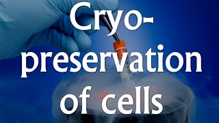 Cell culture techniques 4 - Cryopreservation