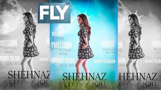 Shehnaaz Gill के फैन्स इस खबर को सुनकर ख़ुशी से झूम उठेंगे For Sure।Fly Song Released