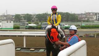 浦和競馬場で、平成最後の日の最終レース後の様子