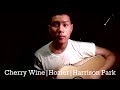 Cherry Wine | Hozier | Harrison Park