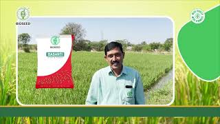 Discover the Secrets of Successful Hybrid Paddy Farming.