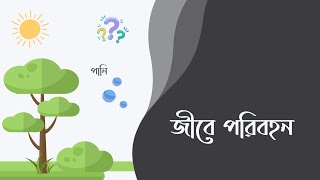 SSC Biology Chapter 6  - Jibe Poribohon ( জীবে পরিবহন ) - ANIMATED