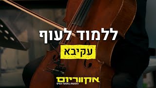 אקווריום - עקיבא | ללמוד לעוף