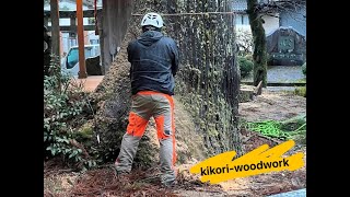 特殊伐採、神社大径木、ラフタークレーン伐採、危険木伐採、社寺の樹木管理、住宅隣接やっかいな木、道路支障木、庭木の処分、所有の山林処分は気軽にご相談ください。神鍋白炭工房　Kikori woodwork