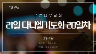 2022.01.29ㅣ푸른나무교회ㅣ21일 다니엘기도회 20일차ㅣ간증의 밤ㅣ김정석목사