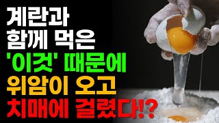 달걀 먹을 때 절대 같이 먹지 마세요 - 계란과 '이것' 같이 먹으면 치매가 싹 사라집니다!?