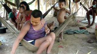 Nukak Maku Indians face slow agony in Colombia