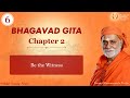 006 - Be the Witness | Bhagavad Gita | Swami Bhoomananda Tirtha