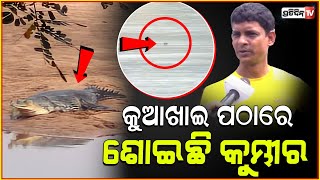 ଭୁବନେଶ୍ୱର ରେ କୁମ୍ଭୀର ଆତଙ୍କ, ଶୋଇଛି କୁଆଖାଇ ପଠାରେ! Crocodile spotted in kuakhai river bank, Bhubaneswar