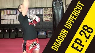 Dragon Uppercut - Punchbagpro Technique 28