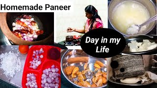 சலிப்பு தட்டாத busy ஆன எனது ஓரு நாள்||வீட்டிலேயே Paneer ரெடி பண்ணலாம்||homemade Paneer in Tamil|vlog