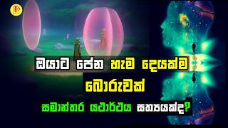 ඔයාට පේන හැම දෙයක්ම බොරුවක් | What is PARALLEL REALITY?