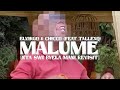 Elvirgo - Malume (nta Swi Byela Mani Revisit) (chicco Feat. Tallexq) (visualiser)