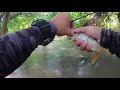 easy fishing เดินลำธารหากระสูบ