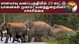 சானமாவு வனப்பகுதியில் 10 காட்டு யானைகள் முகாம்! வனத்துறையினர் எச்சரிக்கை