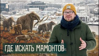 Мы заняли их Минск?! Кто жил здесь до человека