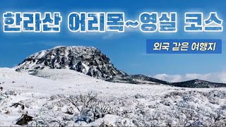 드라마틱한 뷰를 선물하는 겨울 한라산으로 떠나봅시다 / 어리목~윗세오름~영실 코스 [제주 05]