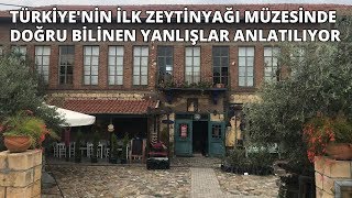 Türkiye'nin ilk zeytinyağı müzesinde doğru bilinen yanlışlar anlatılıyor