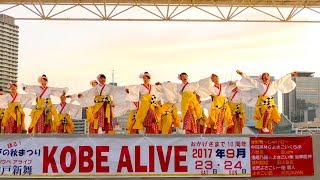 [4K]憂喜世桜　神戸アライブ大賞演舞（ファミリー部門） KOBE ALIVE2017 メリケンAnnversary Stage(中央)