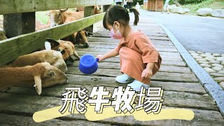 苗栗親子旅行｜Baby Travel｜晴晴樂在飛牛牧場餵羊🐑騎馬🐎看鴨鴨表演🦆