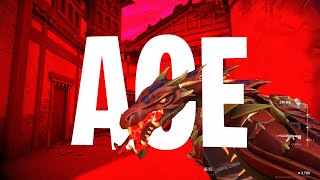 SAGE ACE - Valorant Edit