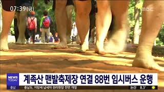 [대전MBC뉴스]계족산 맨발축제 기간 대전역-계족산 임시버스 운행