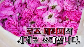 [향기로운 라이브] 로즈 테라피의 세계로 초대합니다 - 아로마더 김현주