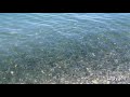 strand evian france voll fisch genfersee full fish by the 8 beach lake of geneve