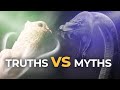 8 Myths Christians Still Believe About Speaking in Tongues