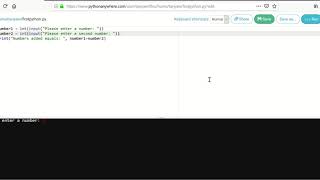 Python Input Function and comments