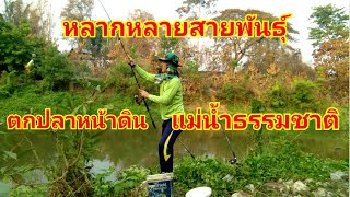 ตกปลาหน้าดิน (สูตลูกยอหมัก)แม่น้ำธรรมชาติ ลำน้ำพอง EP.41