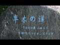 京都「なからぎの道」（半木の道）に行ってきました／kyoto nakaragino michi～電車＆ウォークな日々（2023 04 01）