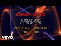 Lynyrd Skynyrd - Swamp Music (Karaoke)