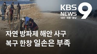 해안 사구 복구 적기인데 일손 부족 / KBS뉴스(NEWS)