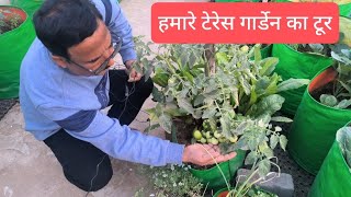 हमारे टैरेस गार्डन का नजारा