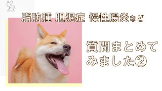 【栄養療法　犬】いろいろな質問に答えてみましたpart2【切り抜き】