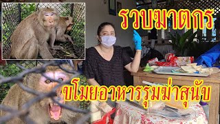 สุดทน! ล้อมจับ 3 หัวขโมยใจโหด รุมฆ่าสุนัขปิดปาก