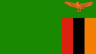 Zambia at the 2013 World Aquatics Championships | Wikipedia audio article