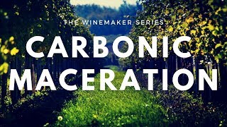 Carbonic Maceration - Wine making process and Beaujolais tasting