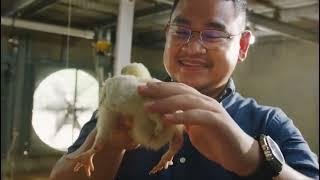 Uyin Agro Farm Punyai 23 Reban Ayam dengan 600,000 ekor ayam