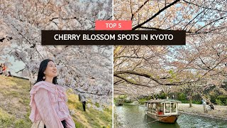 Watch This Before You Visit Kyoto for Cherry Blossoms