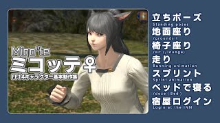 【FF14】ミコッテ女性　基本動作集　立ち/走り/スプリント/座り/宿屋　Miqo'te♀ run/sprint/sit/doze