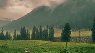 Janshai Meadows | Janshai Band | Kalam | Swat | Meadows Of Kalam | Swat Pakistan