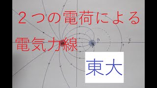 【２つの電荷による電気力線】（東大）2004