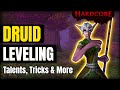 Druid Leveling Guide 1-60 in Hardcore Classic WoW