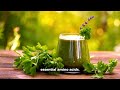 Discover moringa