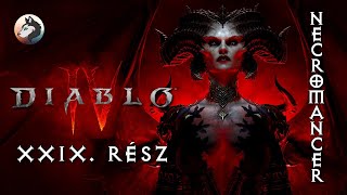 Diablo 4 (PC - Necromancer - Softcore - World Tier 4) #29